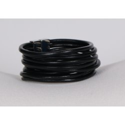  Brachleth 10 Strings B22