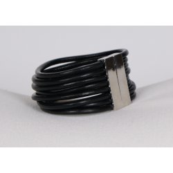  Brachleth 10 Strings B22