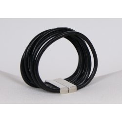  Brachleth 10 Strings B22